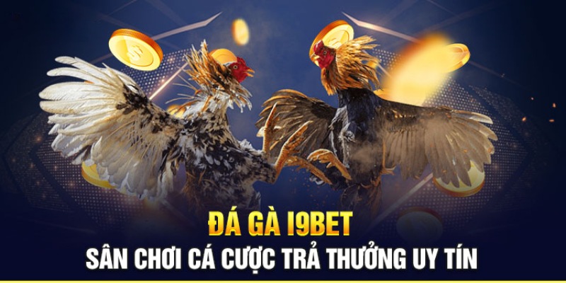 Giới thiệu về thiên đường cá cược I9BET