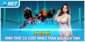 Đá Gà Nòi - Hình Thức Cá Cược Nhiều Trận Đấu Kịch Tính