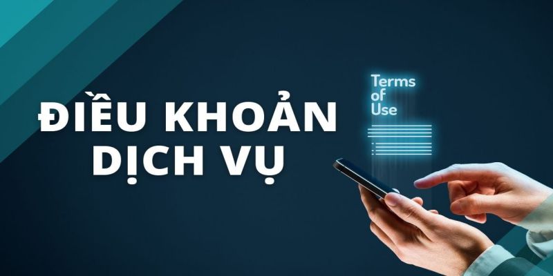 Quy định điều khoản và điều kiện bổ sung