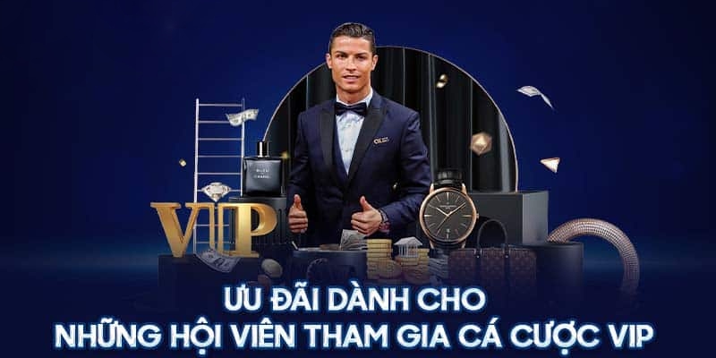 Thành viên VIP nhận được nhiều ưu đãi đặc biệt