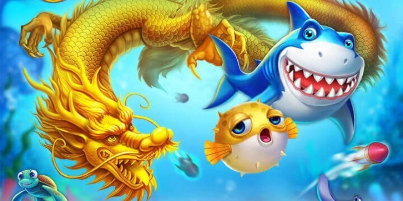 Bắn cá rùa xanh và sơ lược đôi điều bạn cần biết