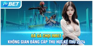 Đá Gà Chọi I9BET | Không Gian Đẳng Cấp Thu Hút Kê Thủ 2024