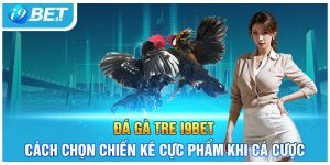 Đá Gà Tre I9BET- Cách Chọn Chiến Kê Cực Phẩm Khi Cá Cược