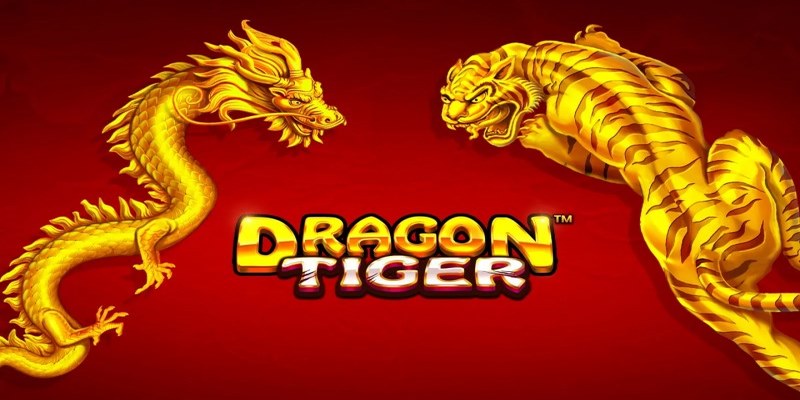 Giới thiệu Rồng Hổ