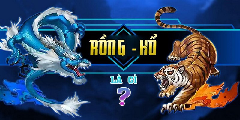 Kinh nghiệm chơi Rồng Hổ