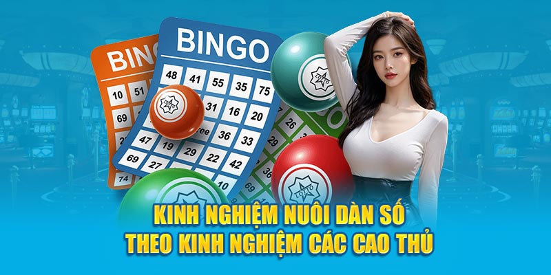 Kinh nghiệm nuôi dàn số theo kinh nghiệm các cao thủ 