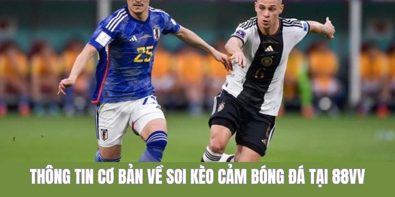 Thông tin cơ bản về soi kèo cảm bóng đá 88VV
